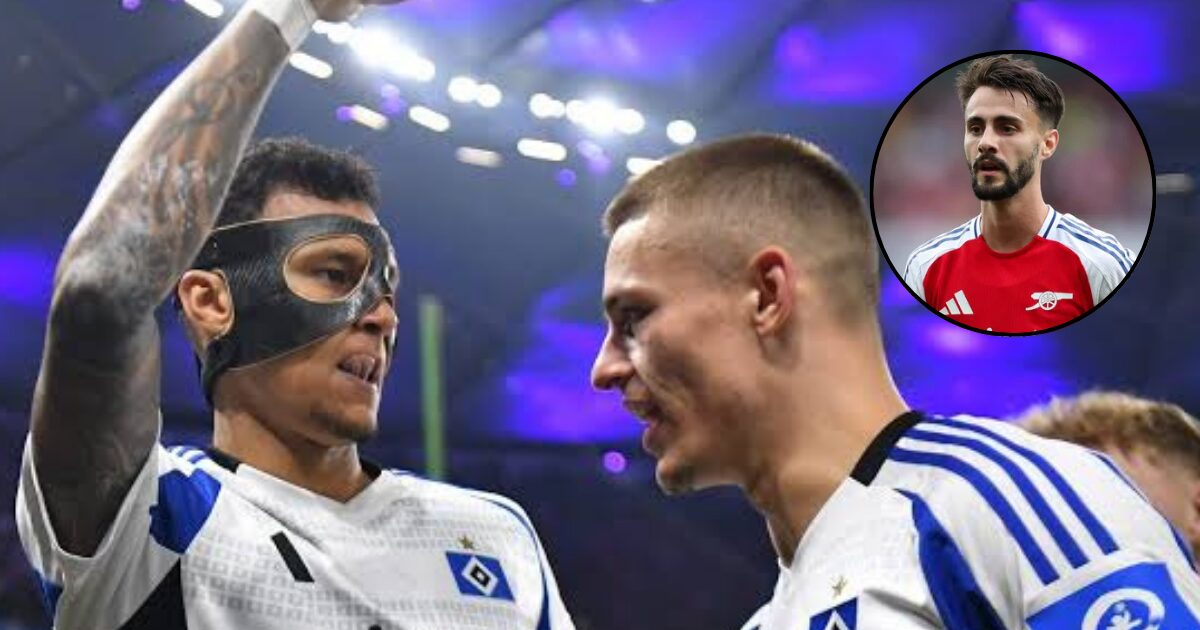 Hamburg's Opening Bid Falls Short of Arsenal's Demands