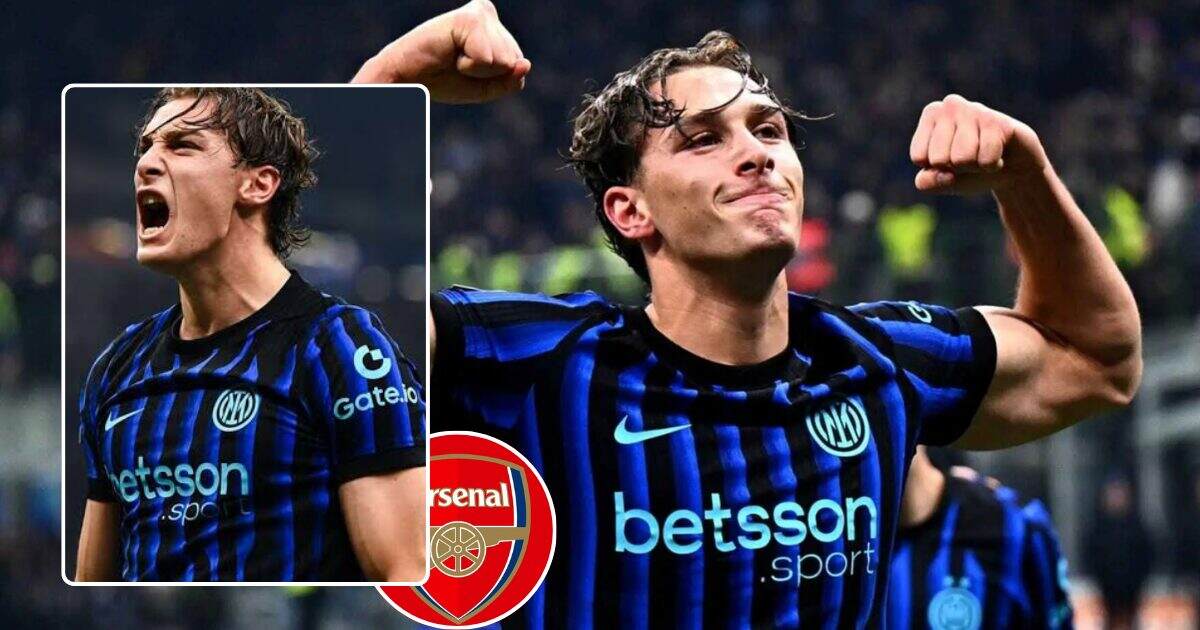 Arsenal Transfer News as Pio Esposito Deal Blocked as Inter Secure Extension